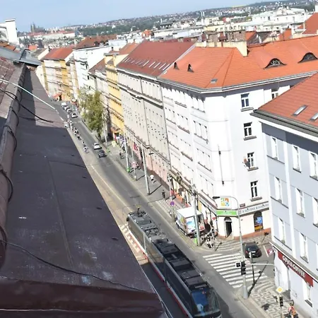 Amazing In Center For Great Price Appartement