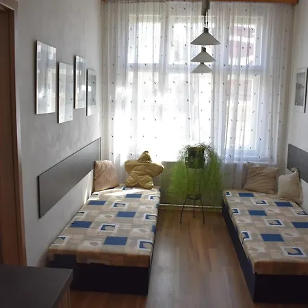 Amazing In Center For Great Price Appartement Praag