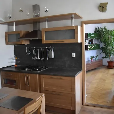 Amazing In Center For Great Price Appartement Praag