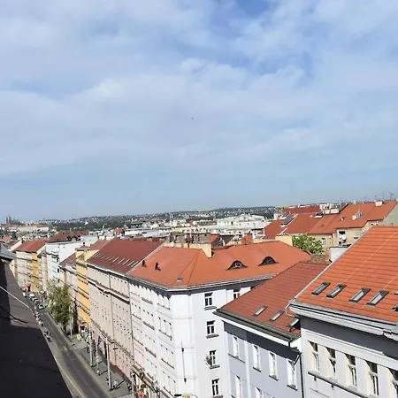 Amazing In Center For Great Price Appartement